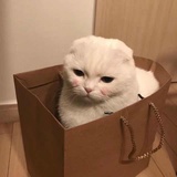 方所