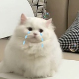 漫游