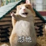 L