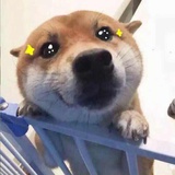 哦吼