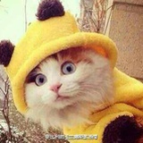 kuku