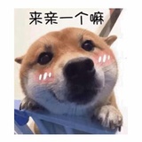 娟娟