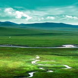 与你为邻