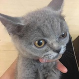 yy