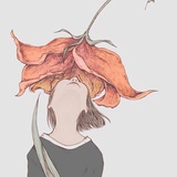 nn