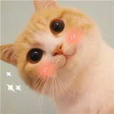小小