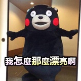 丢丢