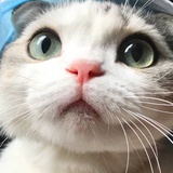 怪兽怪怪的