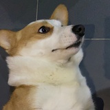 黄