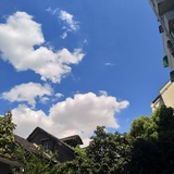 耿耿