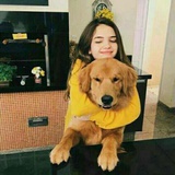 cyj ~ 👼
