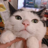 隔离观察室