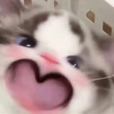 Tiam-