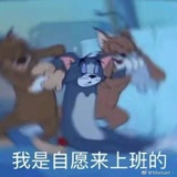霉球菌