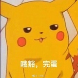 zyydb