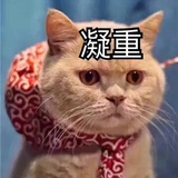 如果看到我