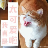 安生