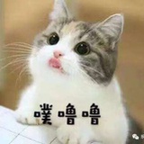 霖弋