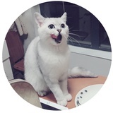 啊哈?!!