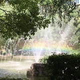 也无风雨也无晴