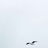 江河