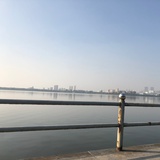 肉的圆子