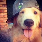 MT