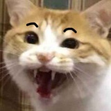 二🐱