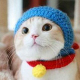 吴宇静。。。