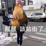 凭什么受啊我