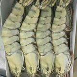 越南海鸿草虾^_^