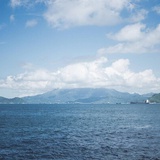 小鹿