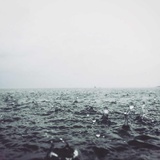 Gelog_X95