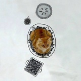~哎哟不错哦~