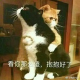 糊子哥