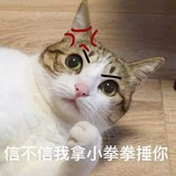 西希