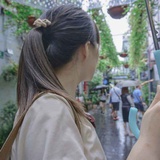 暧雨落