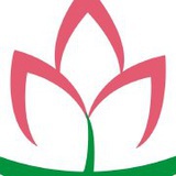 宜花得木