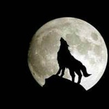 马博士精酿啤酒坊