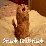 嗑药先锋