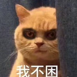 吃西瓜大仙女