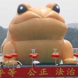 东北灰鱼