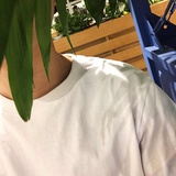 可别了