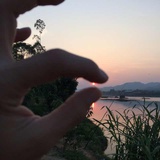 大太阳