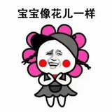 鱼苗儿