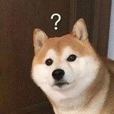 行走的表情包