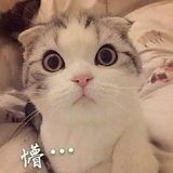 夜著