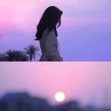 清清木