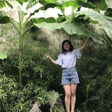 吴婷