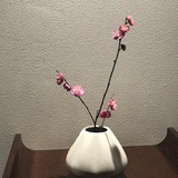 飞天